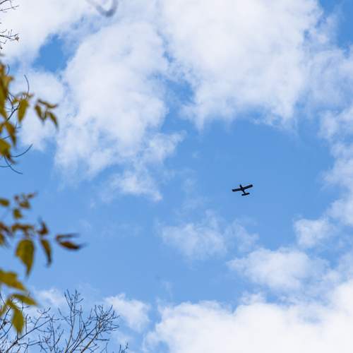 Photo #13762062