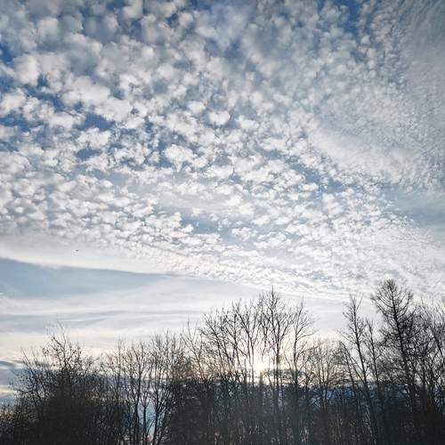 Photo #13762081