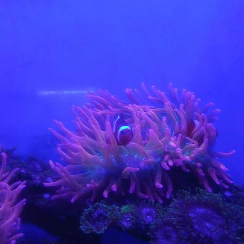Photo #13762100