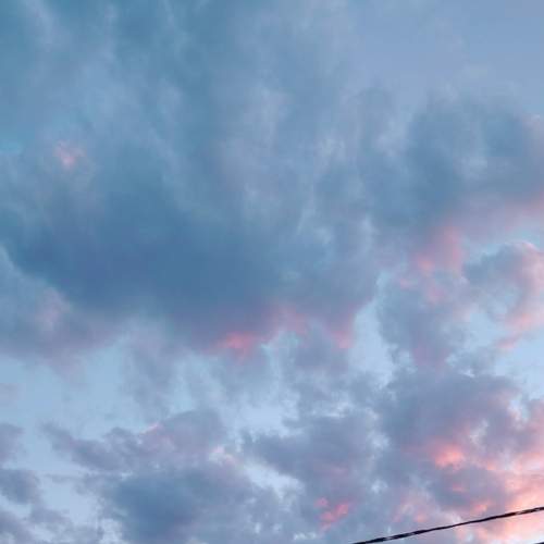 Photo #13762118