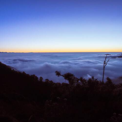 Photo #13762125