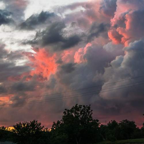 Photo #13762128