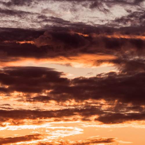 Photo #13762129