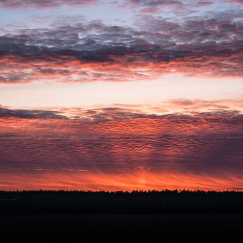 Photo #13762130
