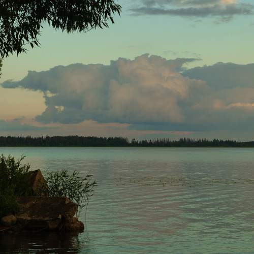 Photo #13762134