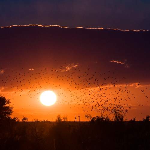 Photo #13762175