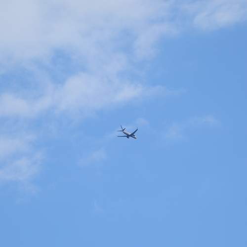 Photo #13762177