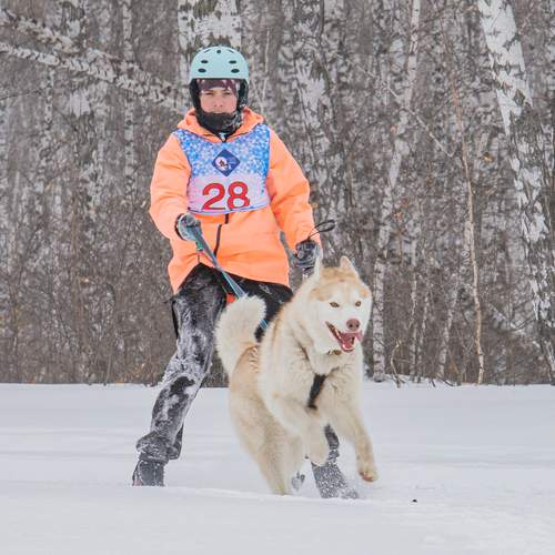 Photo #13762250