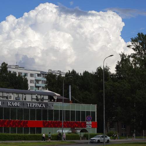 Photo #13762260