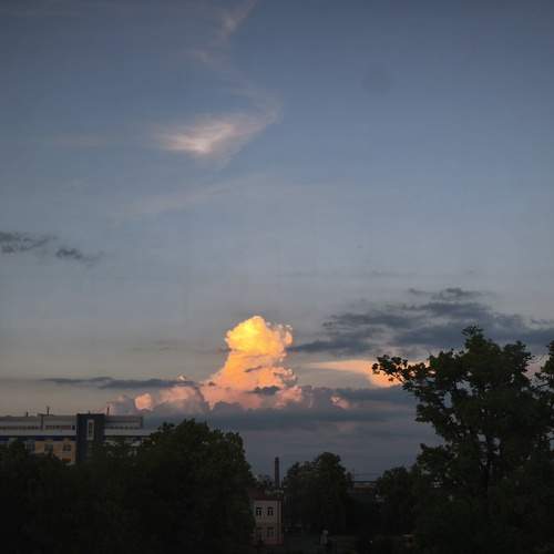 Photo #13762267