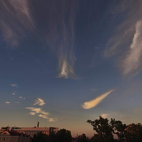 Photo #13762268