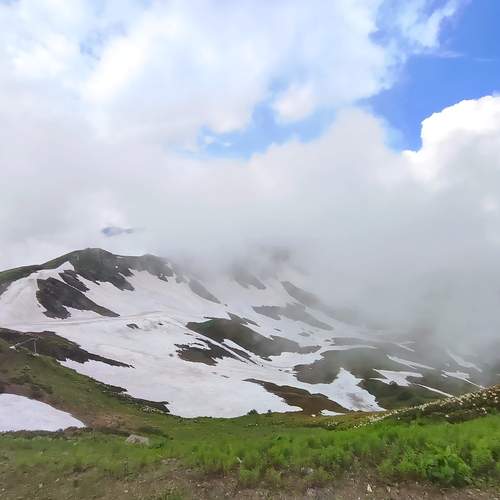 Photo #13762296