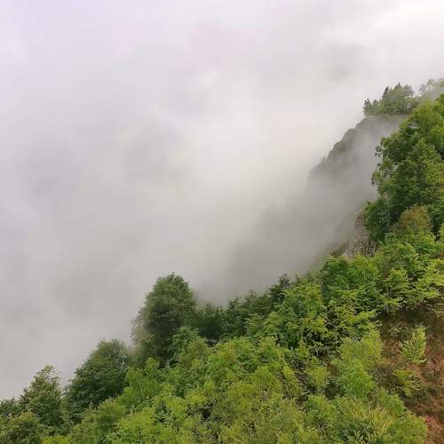 Photo #13762311