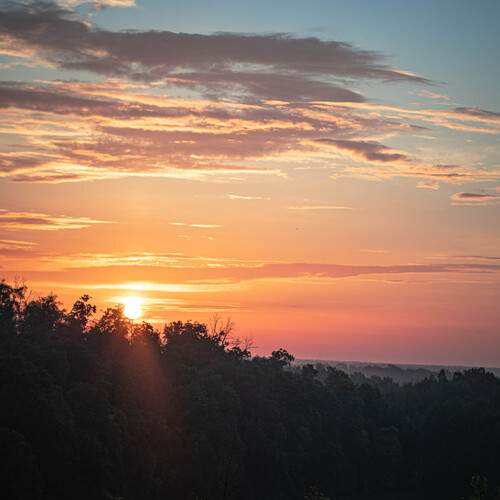 Photo #13762347