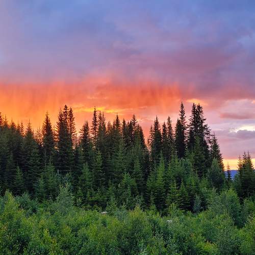 Photo #13762354