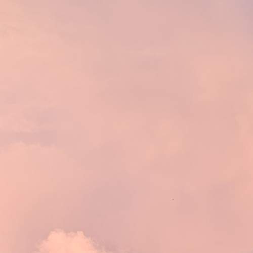 Photo #13762358