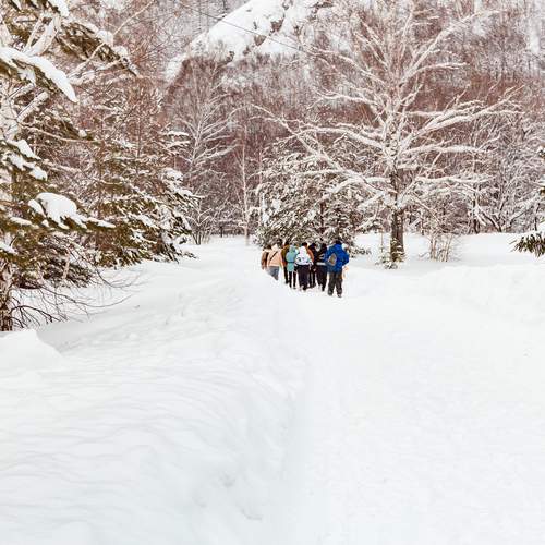 Photo #13762518