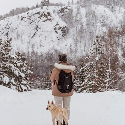 Photo #13762519