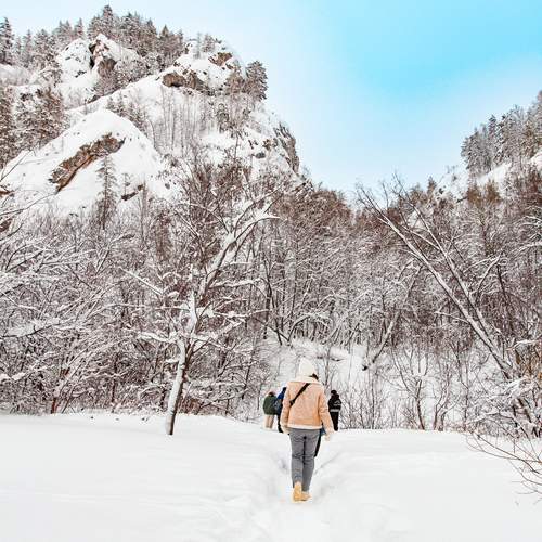 Photo #13762520