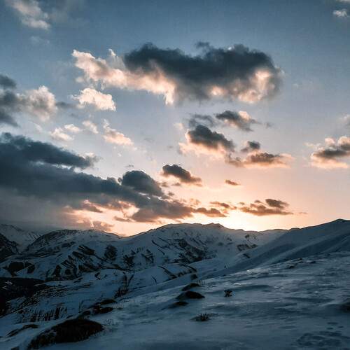 Photo #13762524