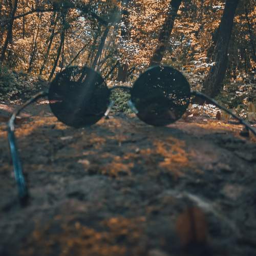 Photo #13762536