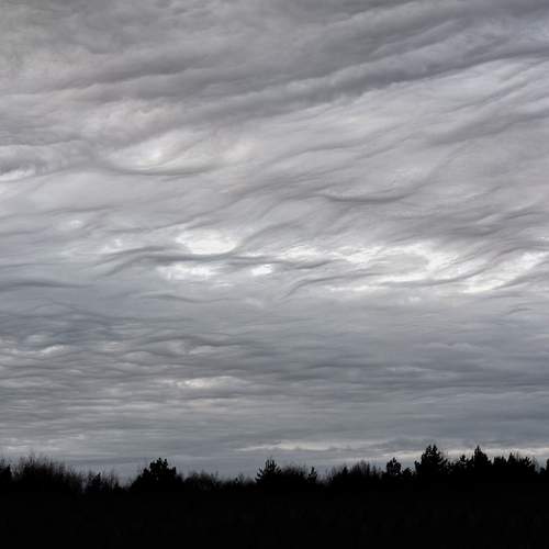 Photo #13762570
