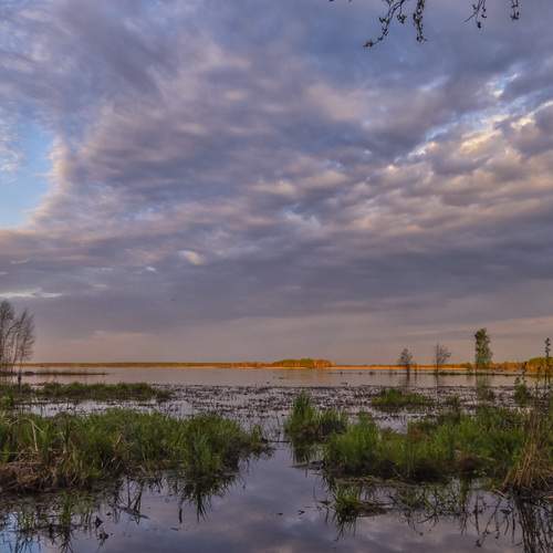 Photo #13762589