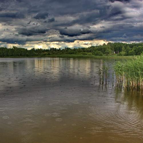 Photo #13762631