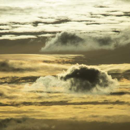 Photo #13762632