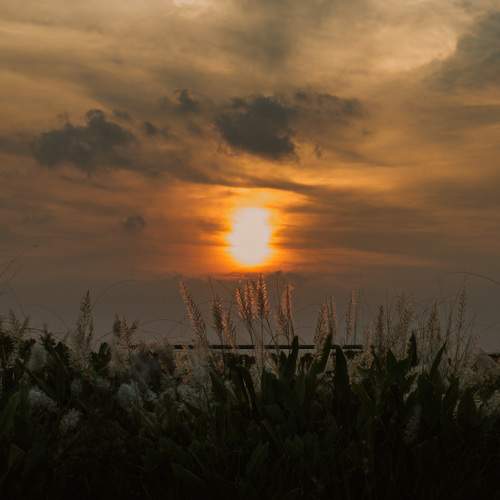 Photo #13762735