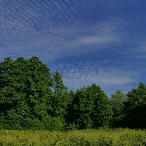 Photo #13762753