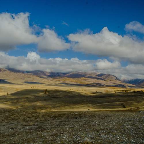Photo #13762771