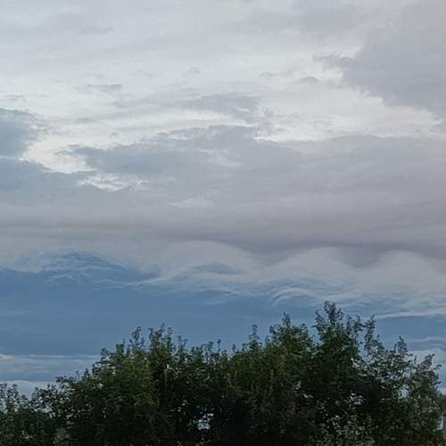 Photo #13762794