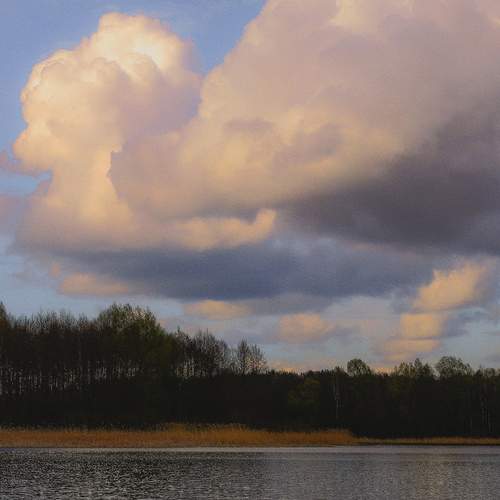 Whispers of Light
