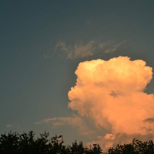 Photo #13762886