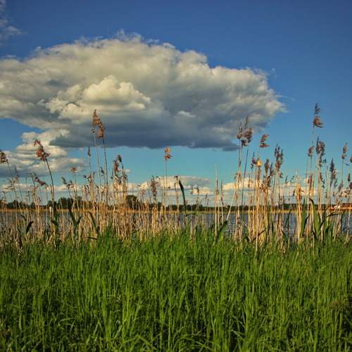Photo #13762900