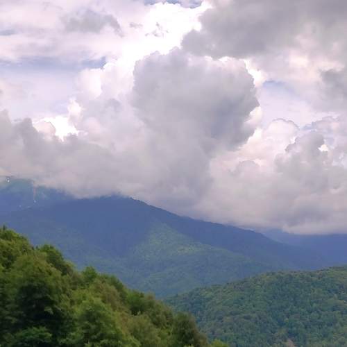 Photo #13762924