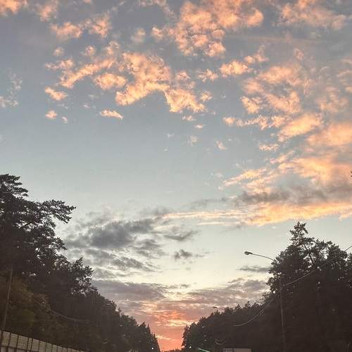Photo #13762928