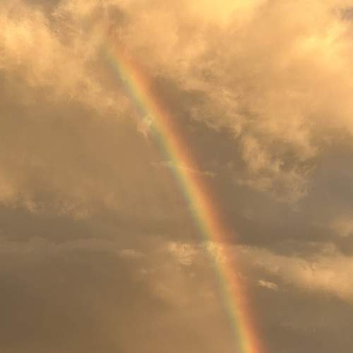Photo #13762929