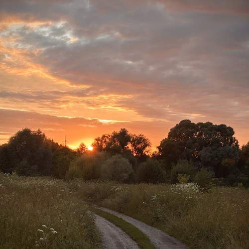 Photo #13762930