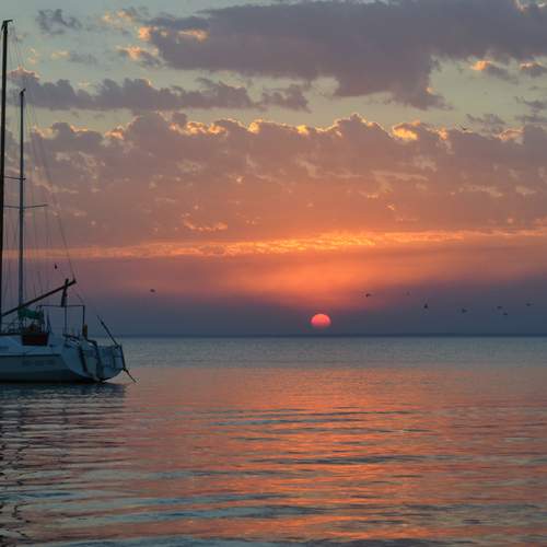 Photo #13762949