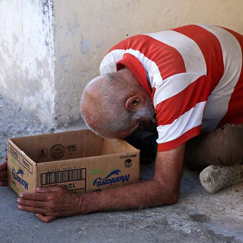 Photo #13762973