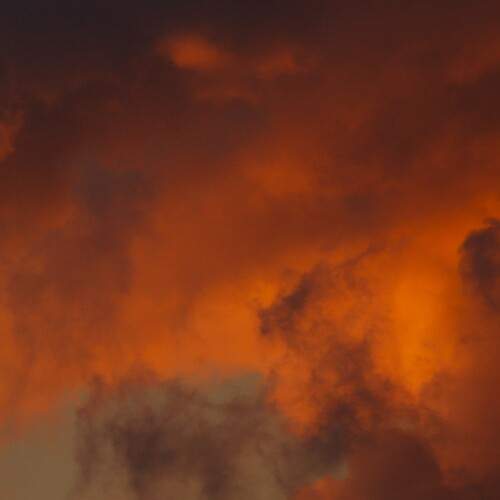 Photo #13763017