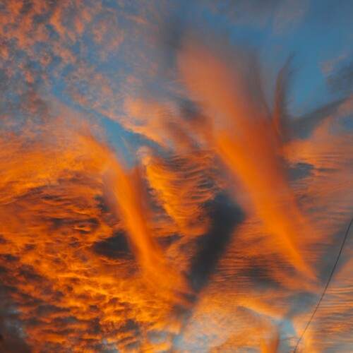 Photo #13763018