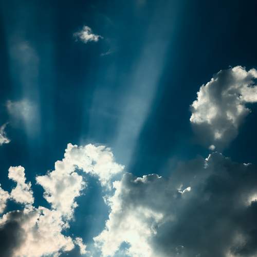 Photo #13763047