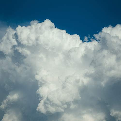 Photo #13763048