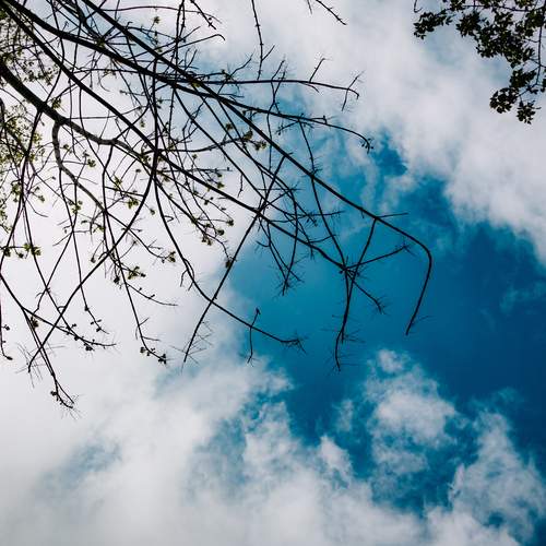 Photo #13763049