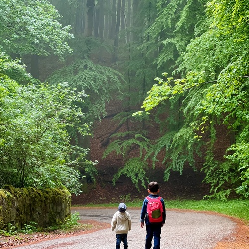Children Walking in the Foggy Forest