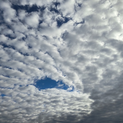 Photo #13763149