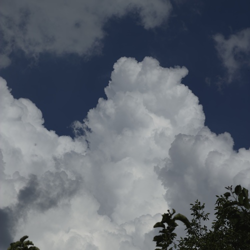 Photo #13763198